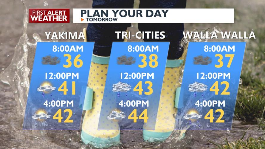 Snowfall and Breezy Winds Forecasted for Friday in Pacific Northwest ...