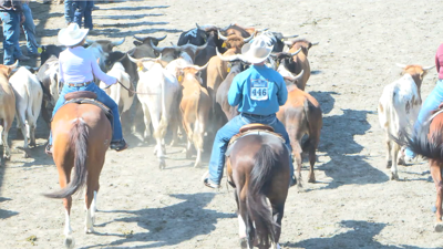 Horse Heaven Round-Up Rodeo Brings Top Athletes to Tri-Cities for ...