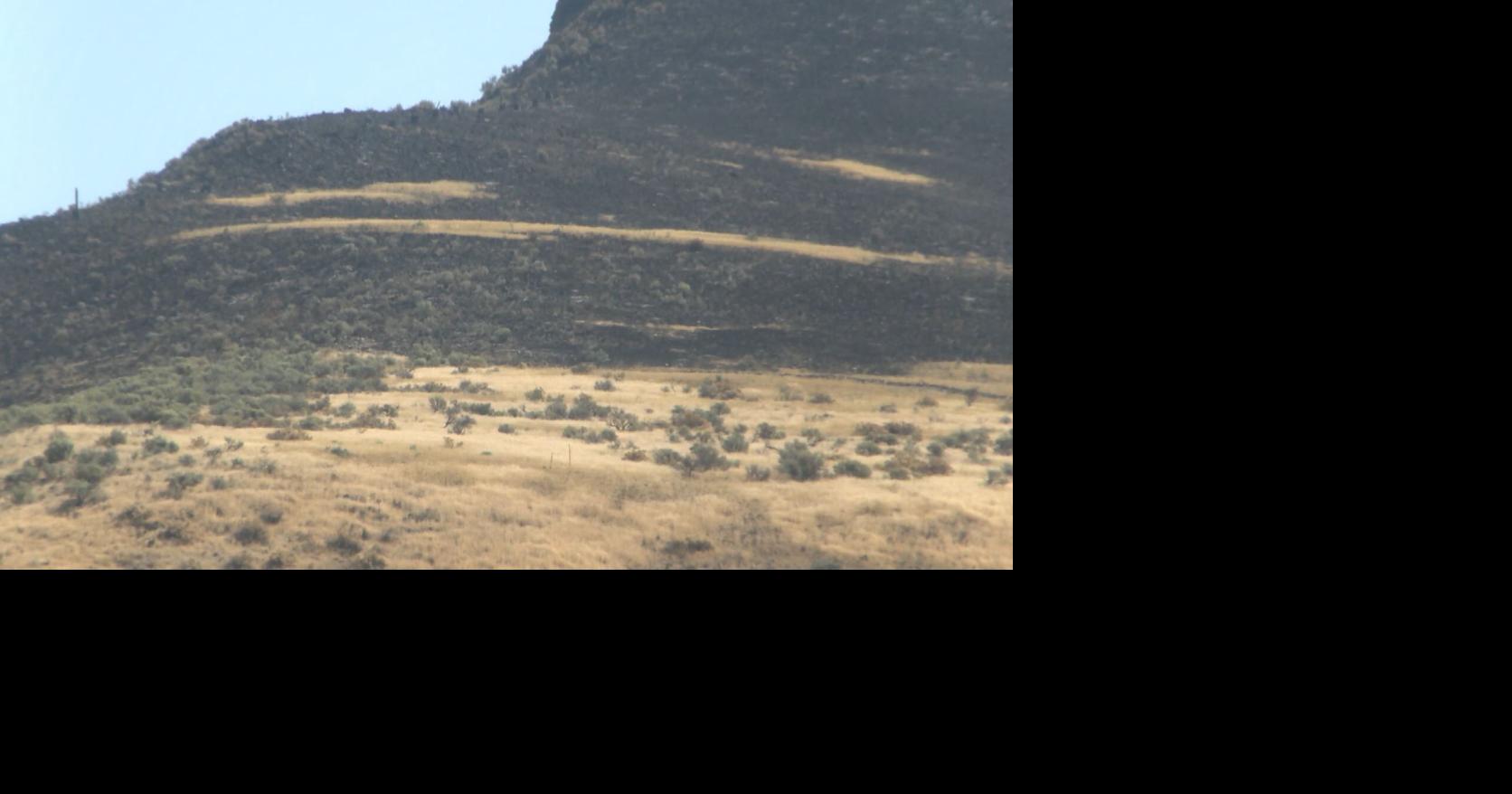 WDFW restricts campfires, target shooting in eastern Washington due to ...