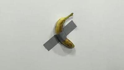 Alligators, pricey bananas and naked people: 2019 in Florida | News