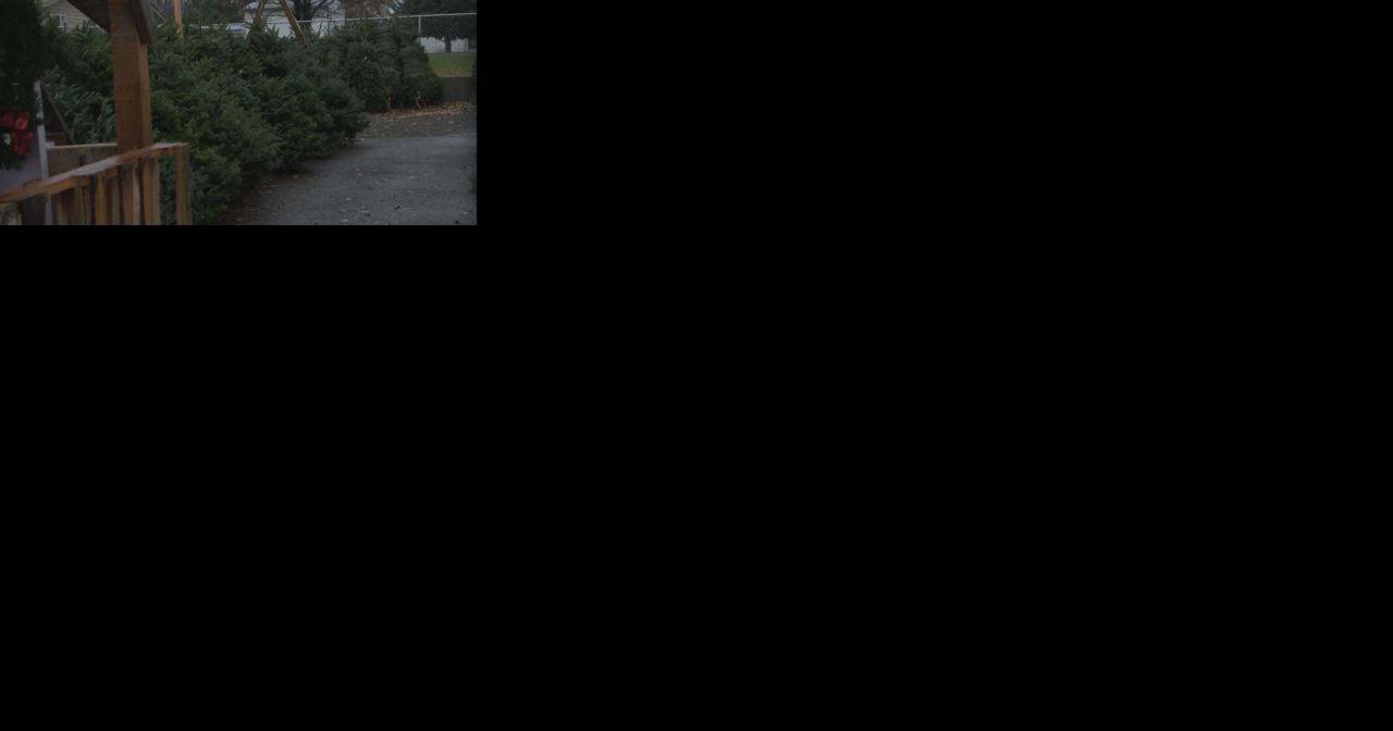 Suspect found running with Christmas tree on back, stolen from church tree farm - Vimarsana News