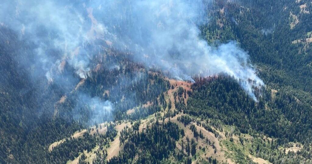 Green Ridge Fire in Umatilla National Forest has burned over 11,000 ...