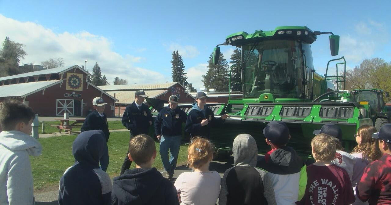 'Cows can swim' | Kittitas Co. third graders learn new facts at agricultural field day | News - Vimarsana News