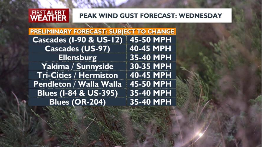 Damaging wind gusts Tuesday night into Wednesday morning, moderate ...