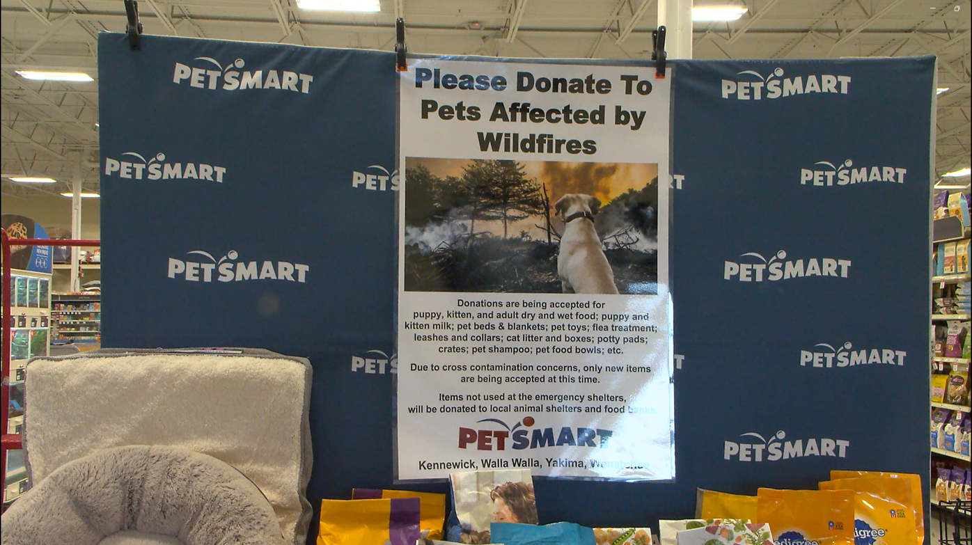 Petsmart on sale pee pads