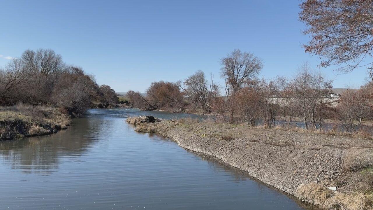The McKay Creek Comeback Salmon return to a Umatilla River tributary