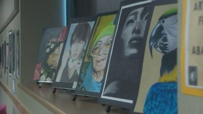 'Language barriers are broken': Davis High School art showcases ...