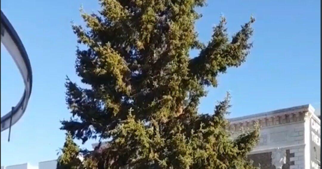Yakima seeks nominations for community Christmas tree | News ...