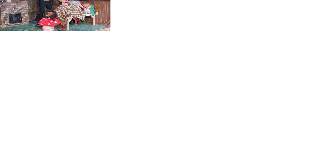 Opening night for "A Year with Frog and Toad" at Princess Theatre in Prosser, all ages - Vimarsana News