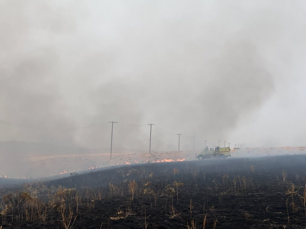 Downed Power Line Sparks Vegetation Fire | Local News ...