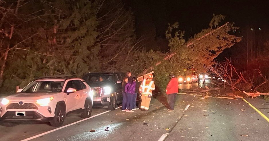 Pasco man killed on SR 18 after tree falls | News | applevalleynewsnow.com
