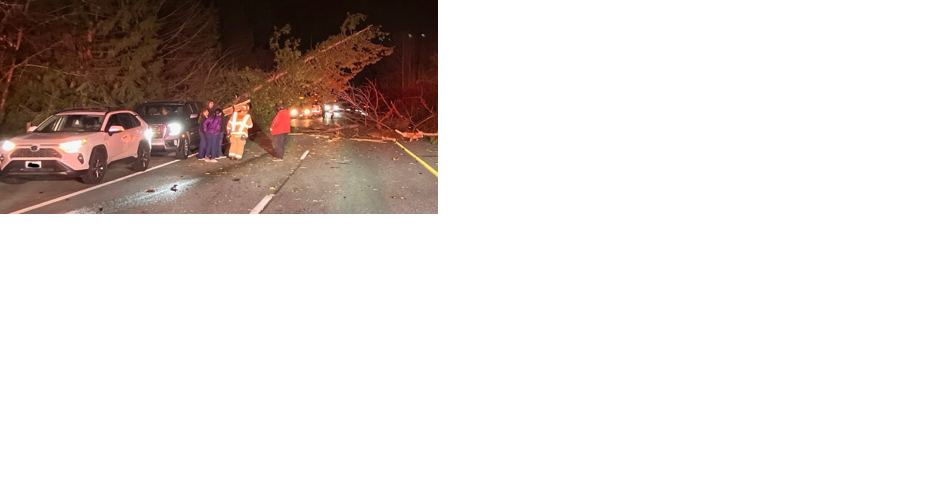 Pasco man killed on SR 18 after tree falls - Vimarsana News