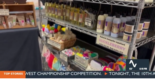 The 25th Annual Spring Crafts Show at the Pasco Hapo Center | Video