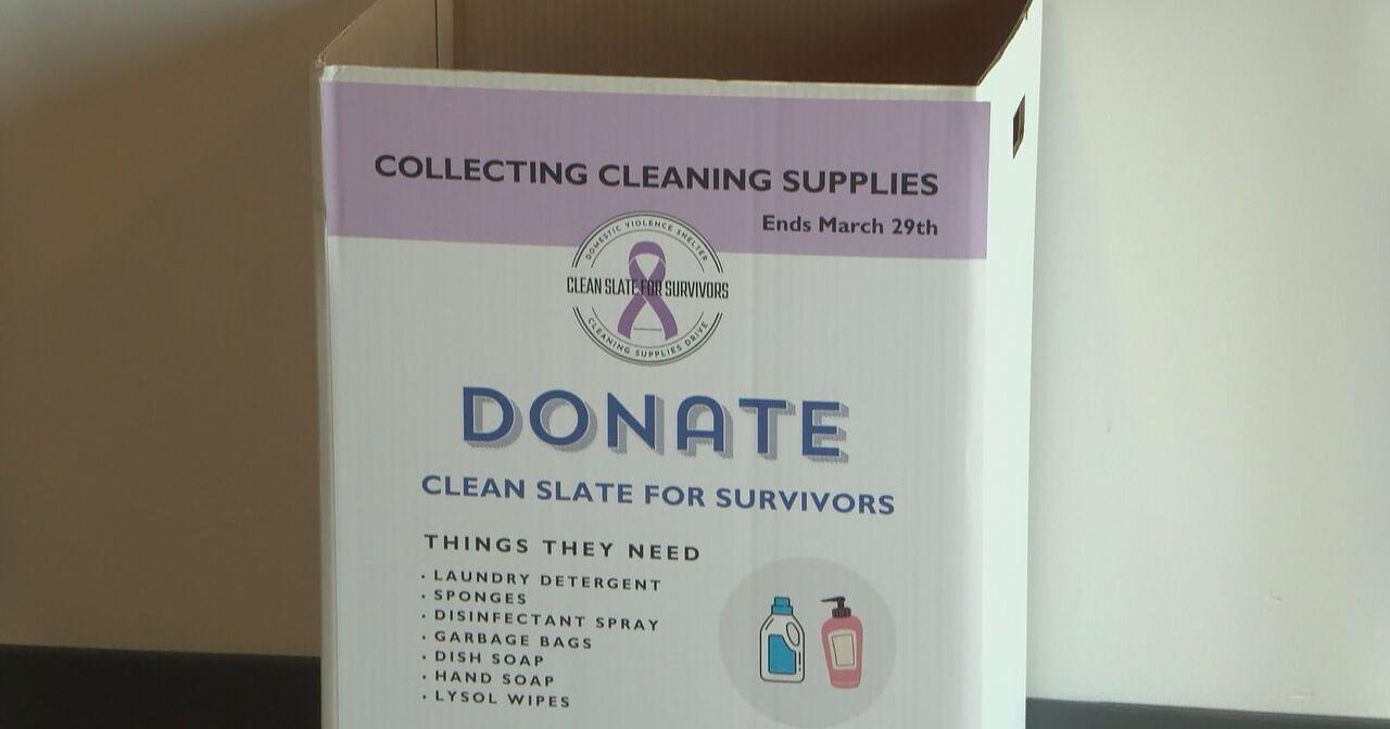 Tri-Cities students hold 'Clean Slate for Survivors' cleaning supplies drive for victims of domestic violence | News - Vimarsana News
