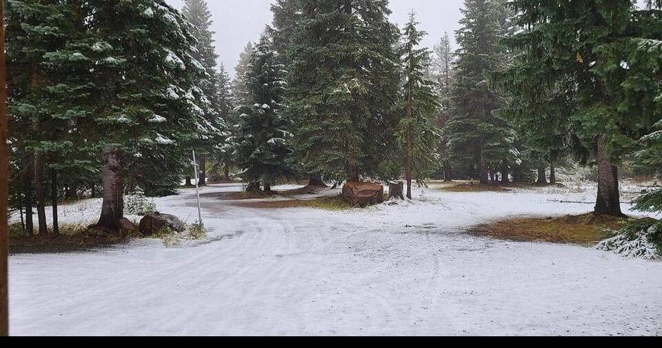 Chop your own Christmas tree from the Umatilla National Forest Family