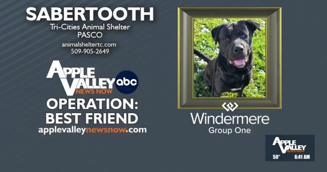 Operation Best Friend: Meet Saber Tooth! - Vimarsana News