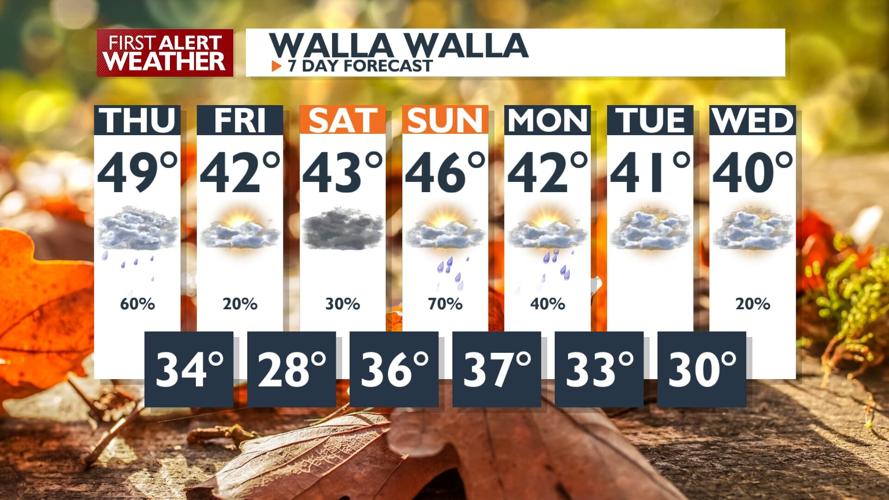 First Alert Forecast - Less rain for your Thursday with windy ...