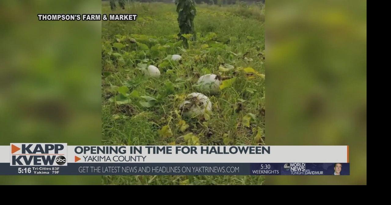 Pumpkin patches, corn mazes can open in Yakima County, health officials