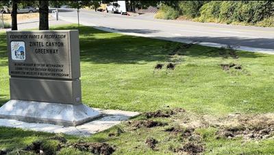 Authorities investigating fatal motorcycle crash in Kennewick | News ...
