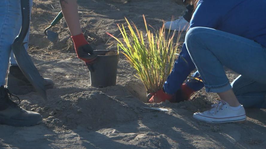 Five TriCities credit unions work together to beautify Mirror