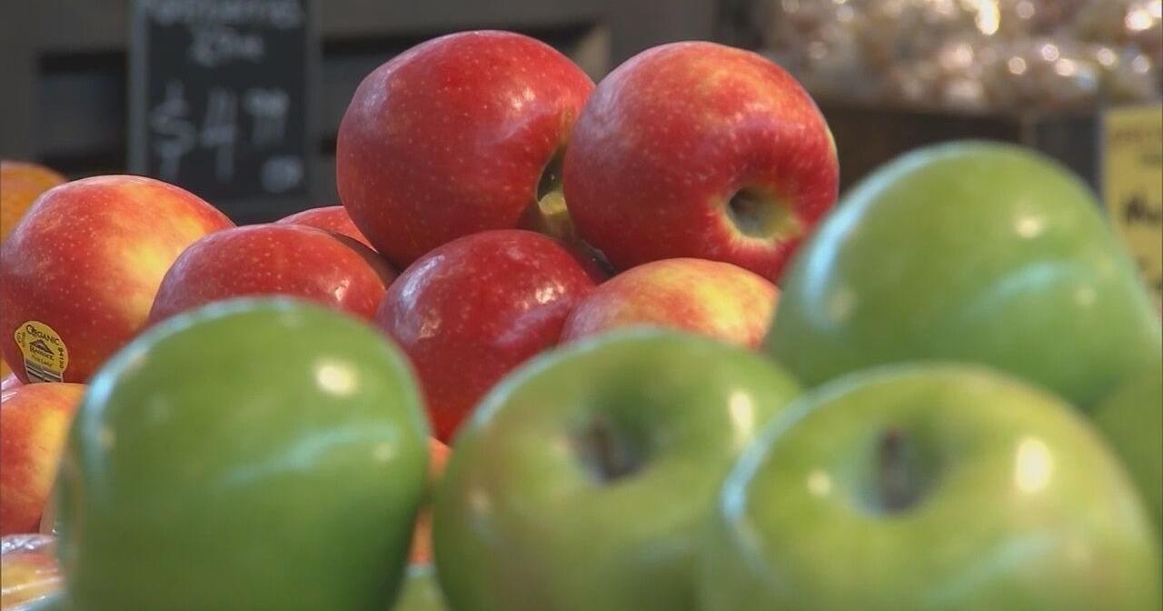 Washington state apple crops up 29%, rebounding from bad weather in 2022 - Vimarsana News
