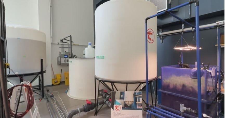 Colorado's first rainwater harvesting pilot moves to water court, researchers look to the practice amid drought