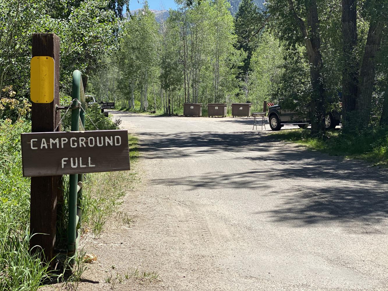 Aspenarea campgrounds seeing record summer numbers News