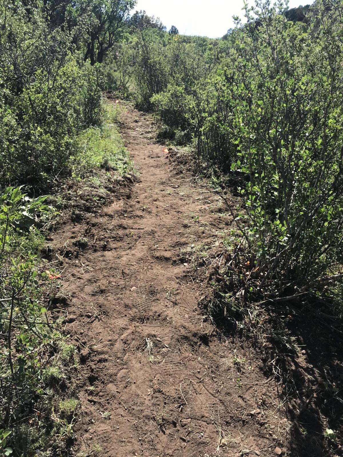 Light Hill Trail rerouting to provide another way of enjoying mountain