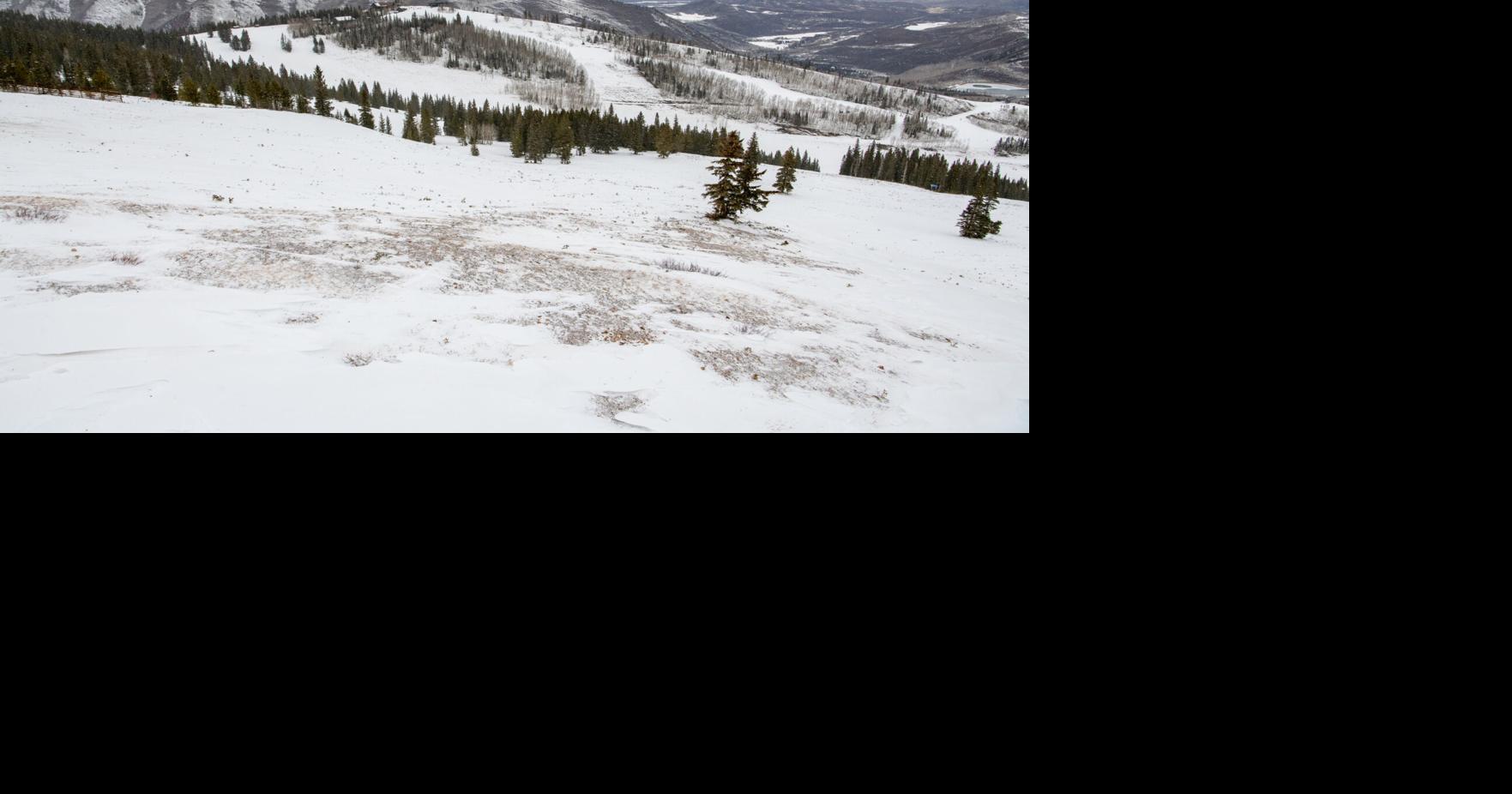 No snow, no problem?