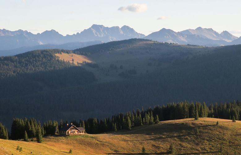 Beauty in Our Backyard Local