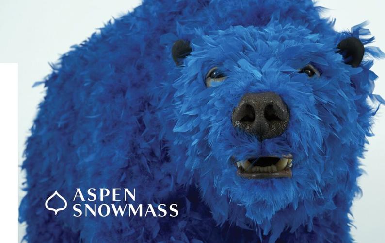 AspenSnowmass liftticket art for winter season unveiled News