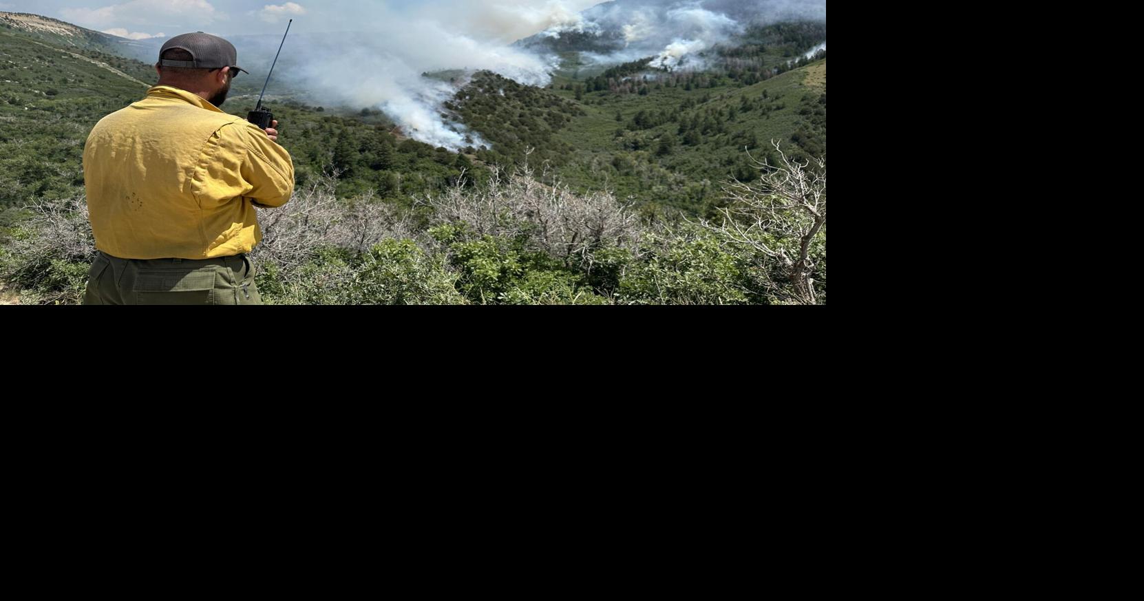 Spring Creek Fire | Multimedia | aspendailynews.com