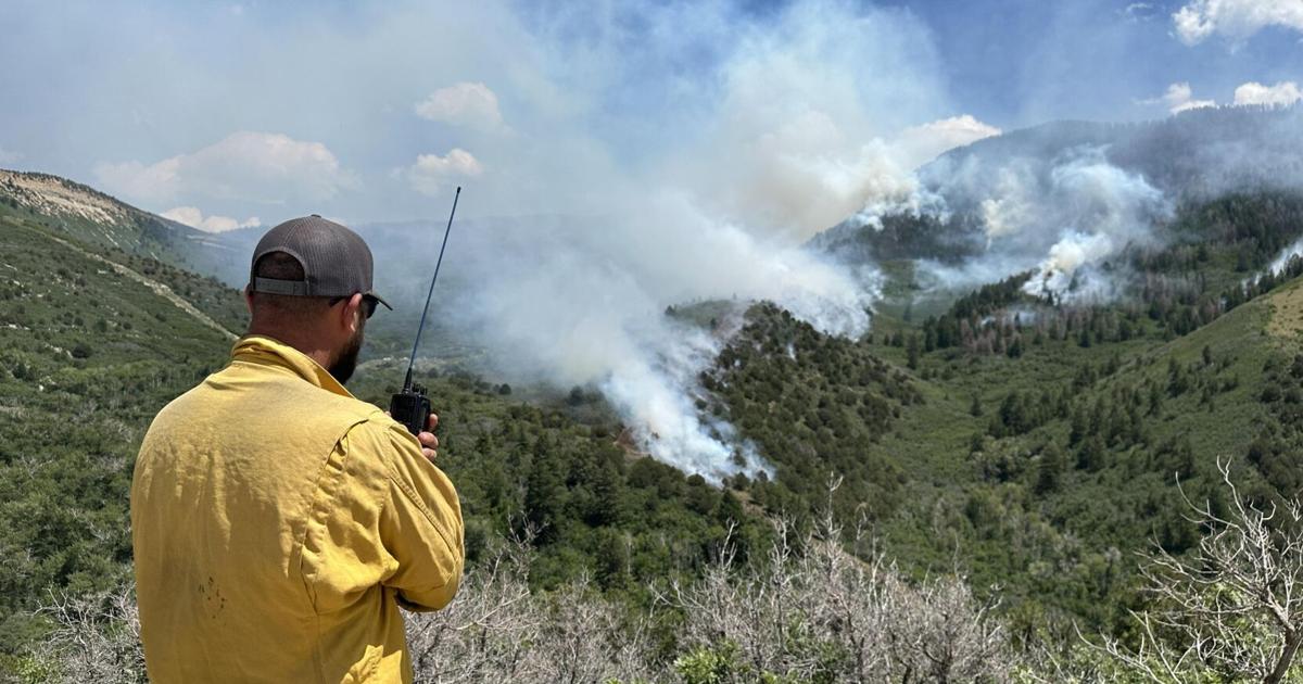 Spring Creek Fire | Multimedia | aspendailynews.com