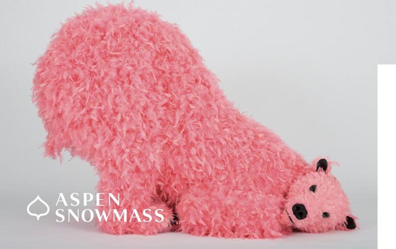 AspenSnowmass liftticket art for winter season unveiled News