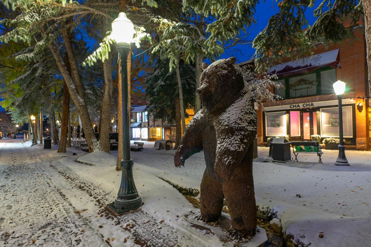Bear with this winter weather