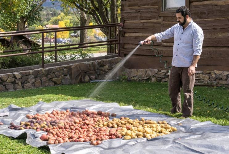 Carbondale looks back on Potato Days of old during this year’s celebration News
