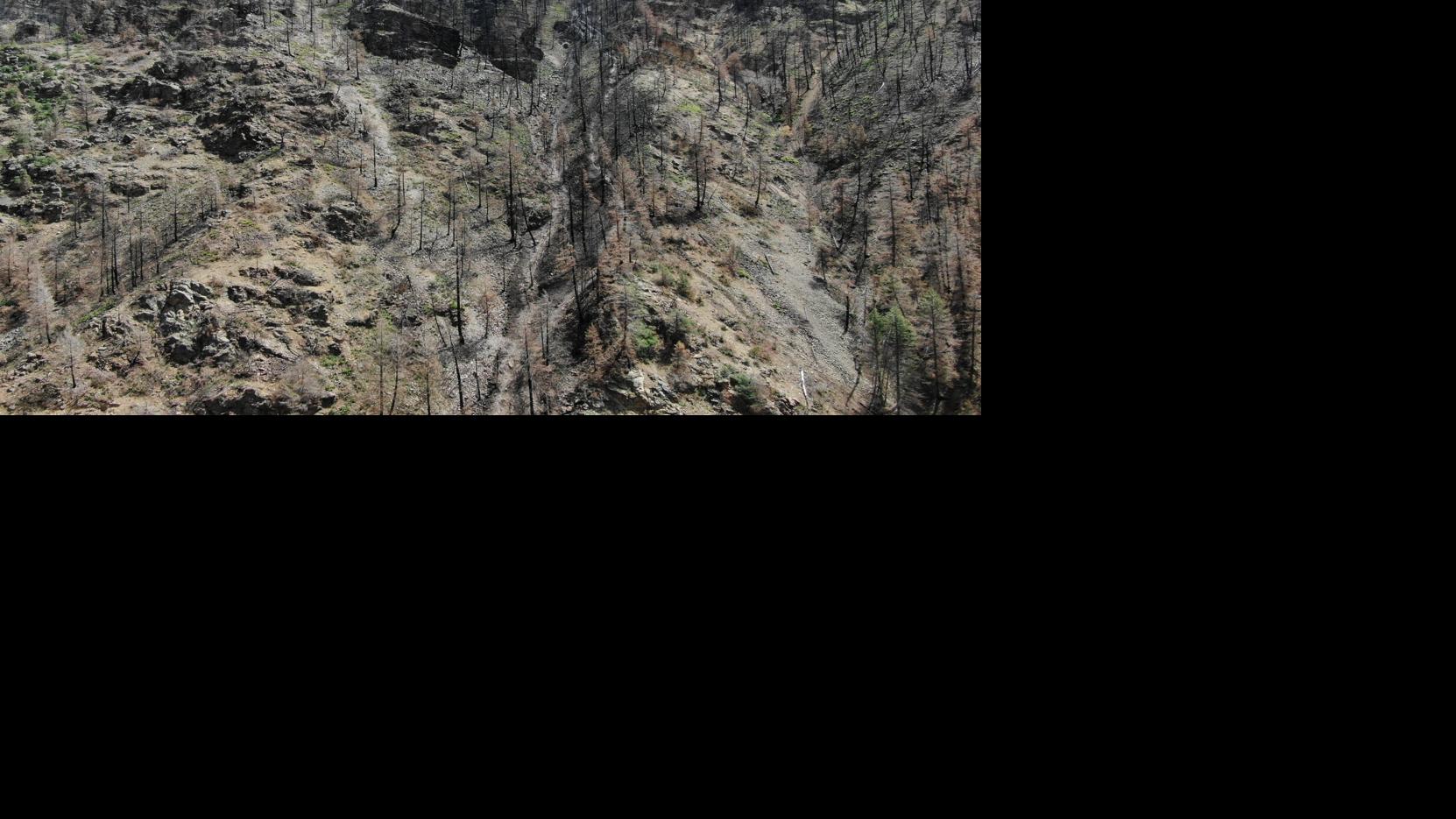 Mudslides impact water quality | News | aspendailynews.com