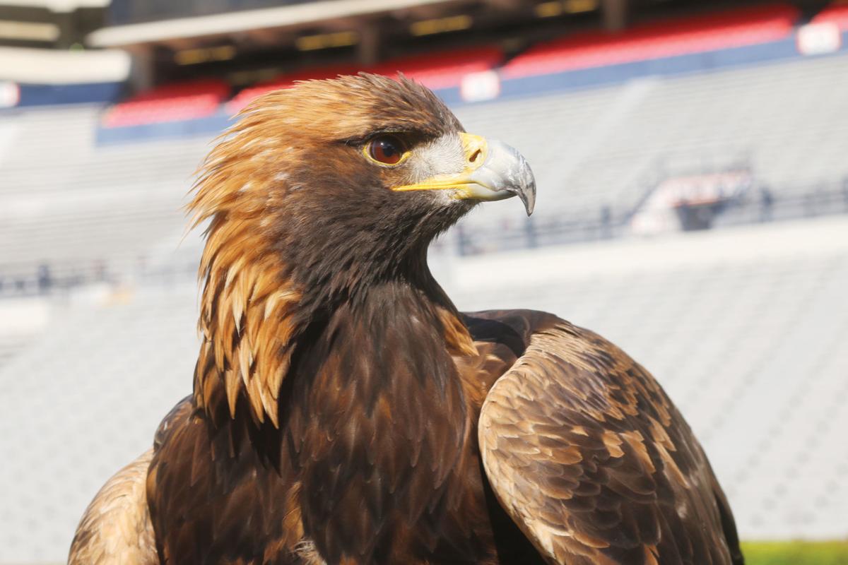 Fly Down The Field Auburns Pre Game Tradition To Continue