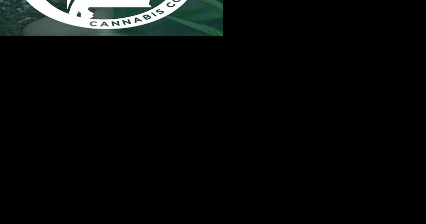 Council reviews Alabama's medical cannabis law - Vimarsana News