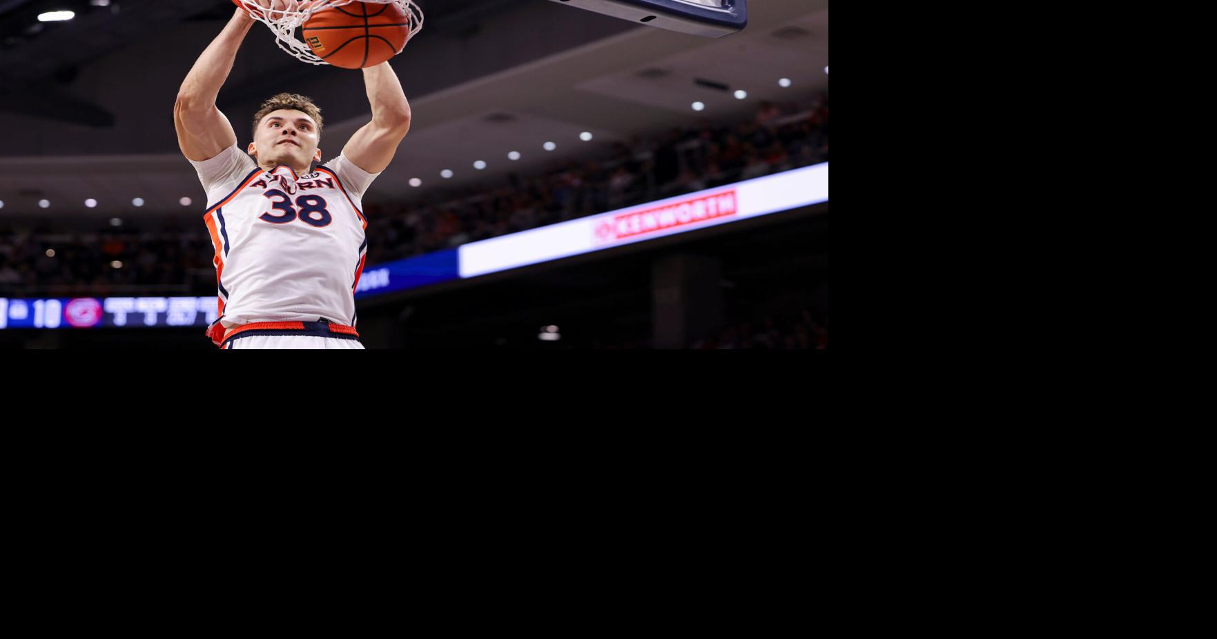 Jovic's big game leads Tigers to win over South Carolina