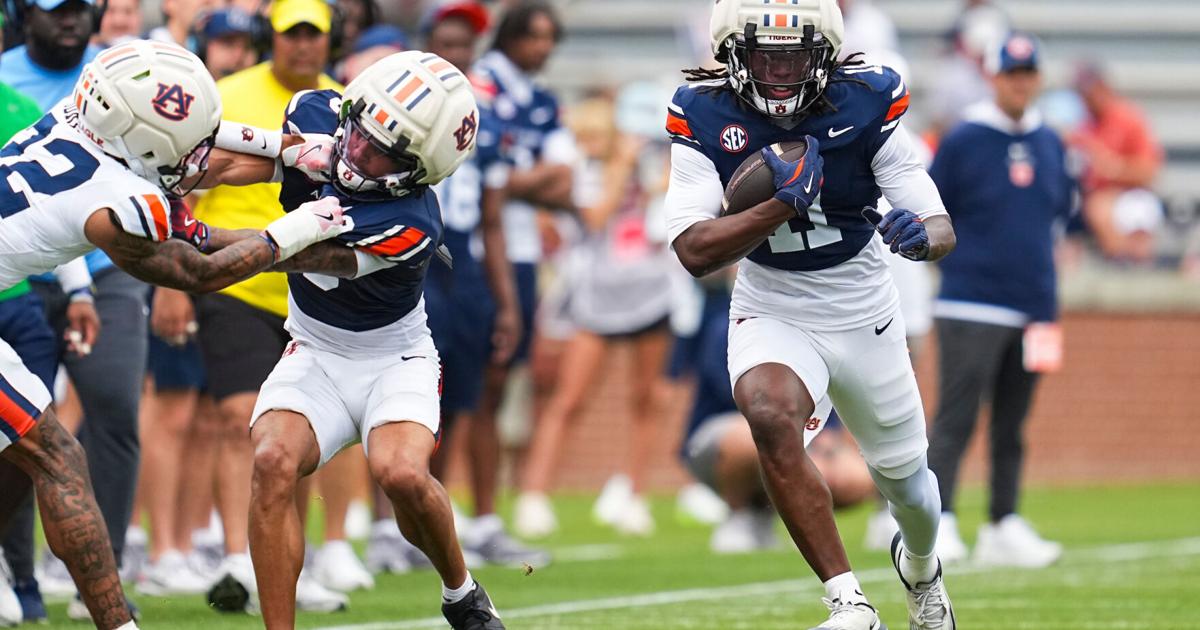 USF transfers bring familiarity with Golesh offense