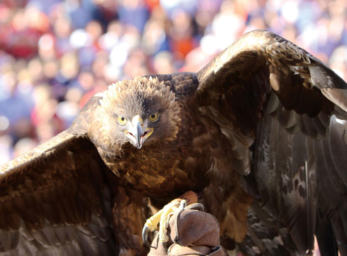 Fly Down The Field Auburns Pre Game Tradition To Continue