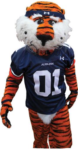 Auburn Tigers Jerseys - J&M Bookstore Downtown