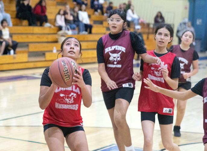Alpine boys overwhelm, Lake LA Girls win | Sports | avpress.com