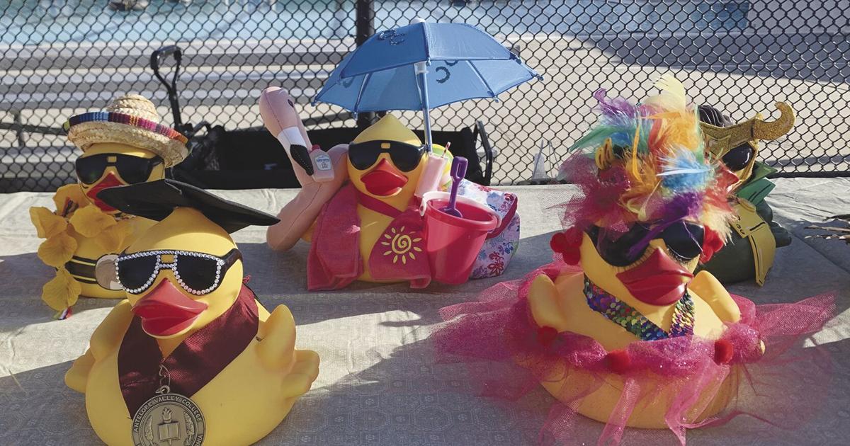 Duck Racing Sandals Ducks racing for $1 million | News | avpress.com