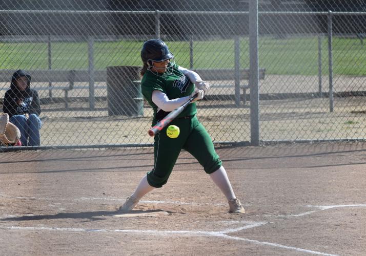 Lobos top Falcons Sports