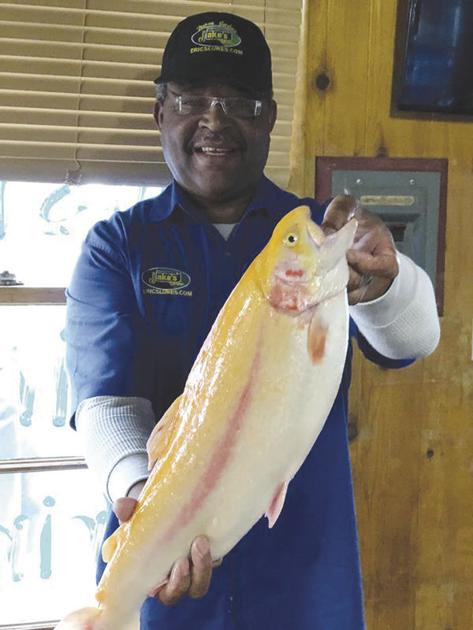 Regional Fishing Report Sports Avpress Com