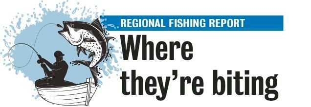Canyon Lake Fishing Report - Arizona Salt River Fishing - Fishing in the  HEAT! 