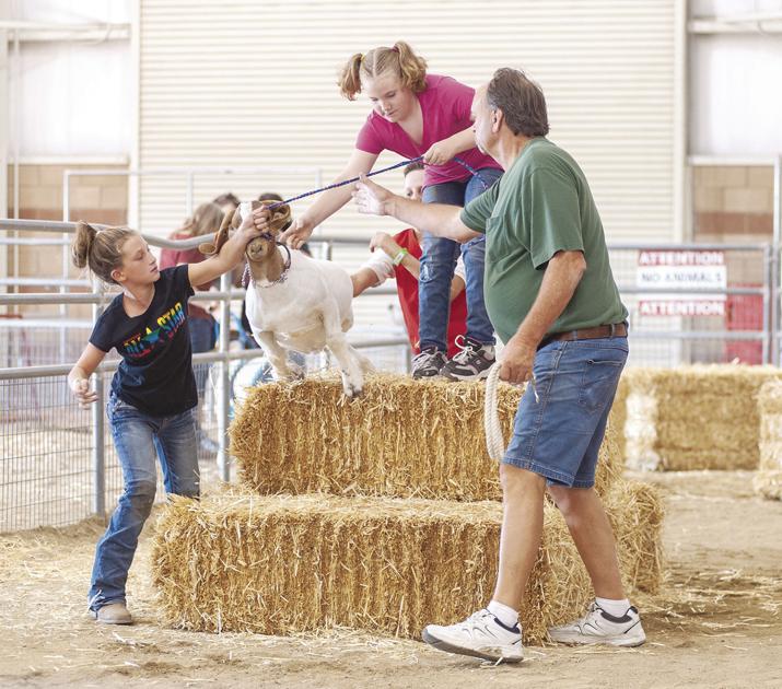 Av Fair Rural Olympics 2022