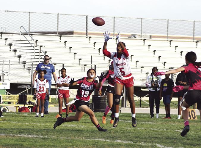 Golden League Champs | Sports | avpress.com